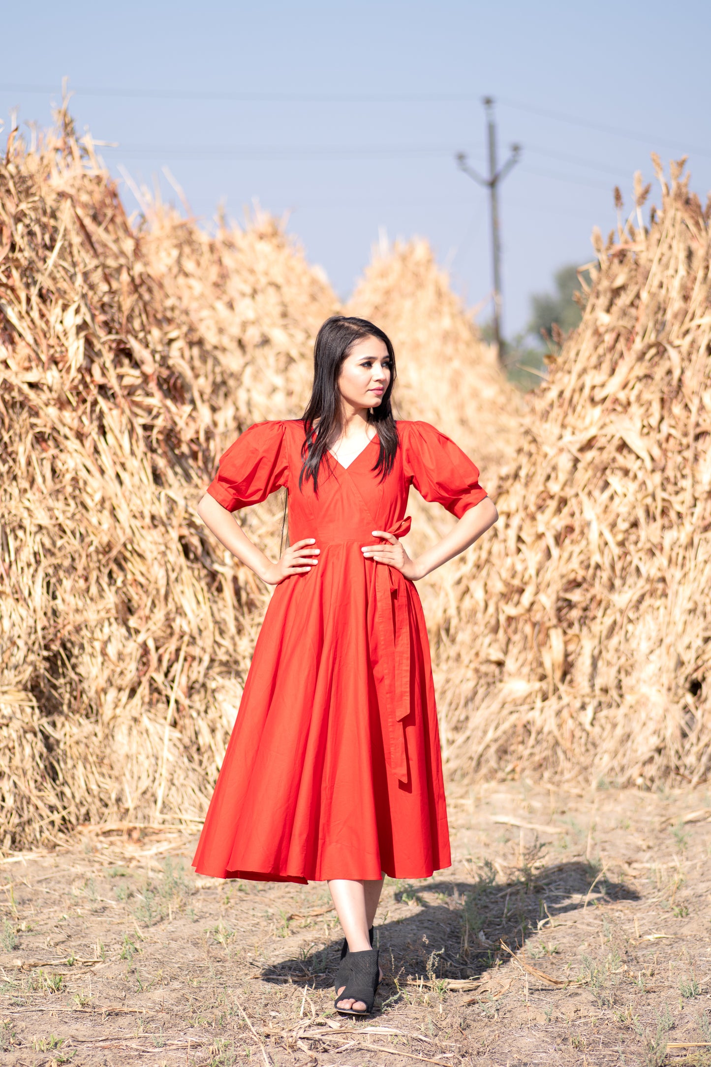 Red Flared Dress